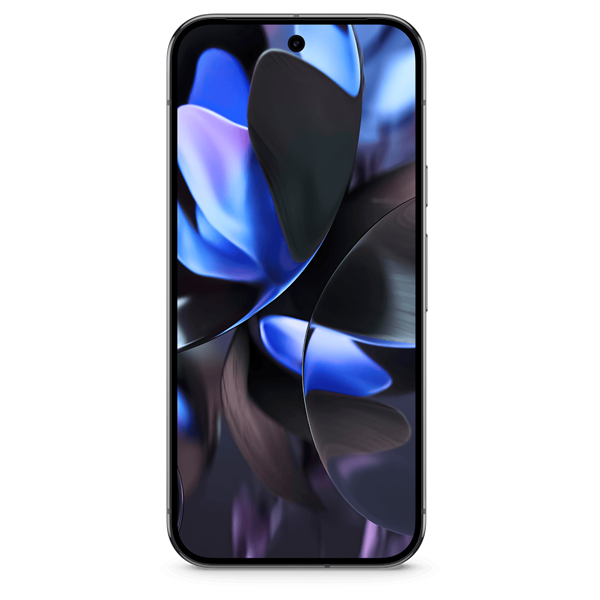 Google Pixel 9 Pro XL